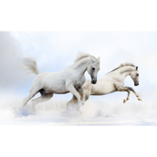  Vászon festmény, MÉDIA, Ló1, 105 x 70 cm grafika, keretezett kép