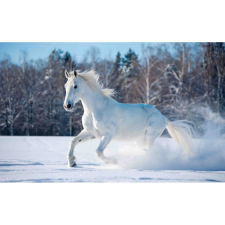  Vászon festmény, MÉDIA, Ló a hóban, 105 x 70 cm grafika, keretezett kép