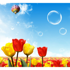  Vászon festmény, MÉDIA, Repülés tulipánmező felett, 105 x 70 cm grafika, keretezett kép