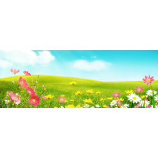  Vászon festmény, MÉDIA, Tavasz a mezőn, 105 x 70 cm grafika, keretezett kép