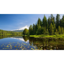  Vászon festmény, MÉDIA, Tavirózsák tavon, 105 x 70 cm grafika, keretezett kép