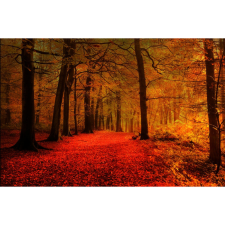  Vászon festmény, MÉDIA, Vörös szőnyeg az erdőben, 105 x 70 cm grafika, keretezett kép