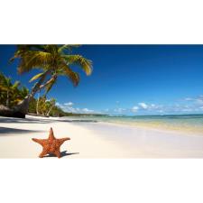  Vászonfestmény, MEDIA, Bolyongó csillag a tengerparton, 105 x 70 cm grafika, keretezett kép