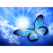  Vászonfestmény, MÉDIA, Kék pillangó, 105 x 70 cm grafika, keretezett kép