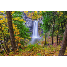  Vászonfestmény, MÉDIA, Kilátás az erdőből, 105 x 70 cm grafika, keretezett kép