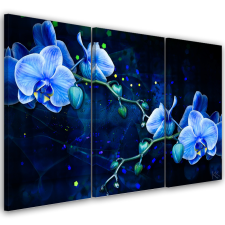  Vászonkép 3 részből, kék orchidea virág - 150x100 cm tapéta, díszléc és más dekoráció