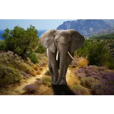  Vászonkép Afrikai elefánt, bokrok virágokkal, 105 x 70 cm grafika, keretezett kép