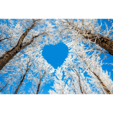  Vászonkép, MÉDIA, Jég szív, 105 x 70 cm grafika, keretezett kép