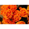  Vászonkép, MÉDIA, Narancssárga rózsák, 105 x 70 cm
