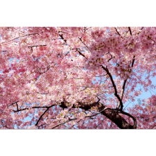  Vászonkép, MÉDIA, Rózsaszín ágacska, 105 x 70 cm grafika, keretezett kép