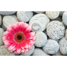  Vászonkép, MÉDIA, Rózsaszín gerbera kövekkel, 105 x 70 cm grafika, keretezett kép