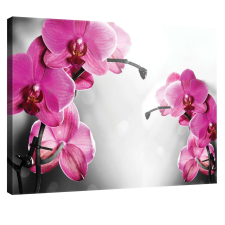  Vászonkép Orchidea Ciklámen 1 tapéta, díszléc és más dekoráció