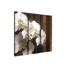 Vászonkép szett 3 darabos Orchidea elegáns 3 tapéta, díszléc és más dekoráció