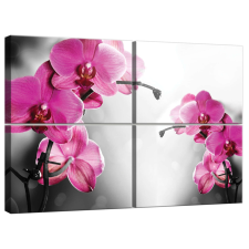 Vászonkép szett 4 darabos Orchidea Ciklámen 1 tapéta, díszléc és más dekoráció