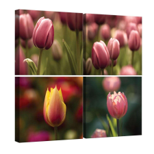  Vászonkép szett 4 darabos Tulipánok 3 tapéta, díszléc és más dekoráció