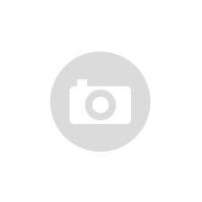 Vee Rubber VRM 015 gumiabroncs - 3,00 x 17 48P TT motor gumi