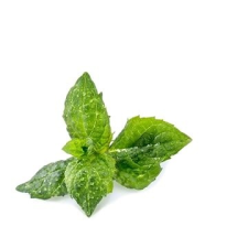 Véritable Lingot fodormenta dekoráció