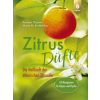 Verlag Eugen Ulmer Zitrusdüfte | Maria M. Kettenring