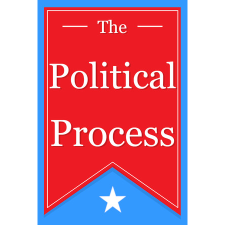 Verlumino Studios LLC The Political Process (PC - Steam elektronikus játék licensz) videójáték
