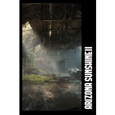 Vertigo Games Arizona Sunshine 2 [VR] (digitális licenc) videójáték