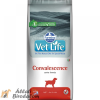 VET LIFE Dog Convalescence 2kg