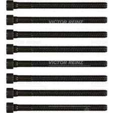 VICTOR REINZ Hengerfejcsavar készlet VICTOR REINZ 14-32059-02 kormányvezérlő és kiegészítői