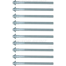 VICTOR REINZ hengerfejcsavar-készlet VICTOR REINZ 14-32214-01 autóalkatrész