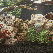 vidaXL 10 kg szürke sárkánykő 10-40 cm akvárium dekoráció