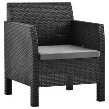 vidaXL 2 db antracit PP rattan kerti szék párnával (3079666) kerti bútor