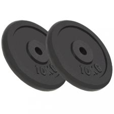 vidaXL 2 db öntöttvas súlyzótárcsa 2 x 10 kg kézisúlyzó