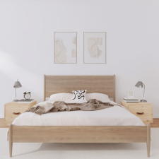 vidaXL 2 db tömör fenyőfa éjjeliszekrény 40 x 34 x 35 cm bútor