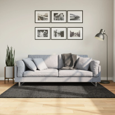 vidaXL antracitszürke hosszú szálú fényes szőnyeg 120x170 cm lakástextília