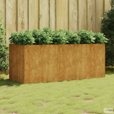 vidaXL Corten acél kerti magaságyás 200x80x80 cm kerti tárolás