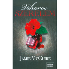 Viharos szerelem /Véletlen 2. regény