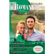 Vinton Osztozkodók, Lebilincselõ szépség, Pillanatfelvétel egyéb e-könyv