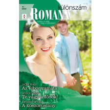 Vinton Romana különszám 41. egyéb e-könyv