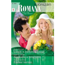 Vinton Romana különszám 61. egyéb e-könyv