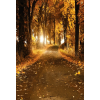  Vinyl háttér fotózáshoz. Őszi fotó háttér 150cm(sz) x 210cm(m) Agc-3225