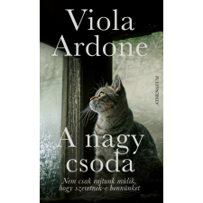 Viola Ardone - A nagy csoda regény