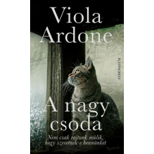 Viola Ardone A nagy csoda regény