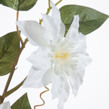  Virág 391 Fehér dekoráció