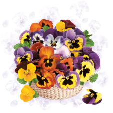Virág Árvácska Colourful szalvéta 20 db-os 33x33 cm party kellék