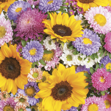 Virág Colourful Summer szalvéta 20 db-os 33x33 cm party kellék