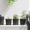  Virág Cserép 100 pcs Fekete Ø 15 x 13 cm Műanyag