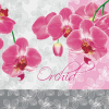 Virág Orchidea Romantic szalvéta 20 db-os 33x33 cm