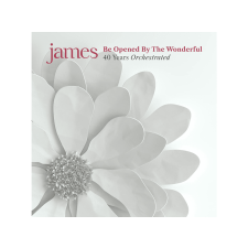 Virgin James - Be Opened By The Wonderful (Vinyl LP (nagylemez)) alternatív