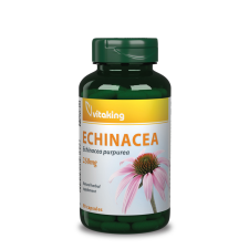 VitaKing Echinacea, bíbor kasvirág kivonat 250 mg - 90 db gyógyhatású készítmény