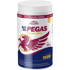 Vitar Veterinae ArtiVit Pegas MSM - extra čistá látka 99,95% - 720 g vitamin, táplálékkiegészítő kutyáknak