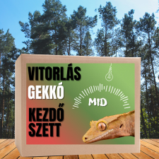  Vitorlás gekkó MID kezdőcsomag - bébi gekkóknak hüllőfelszerelés