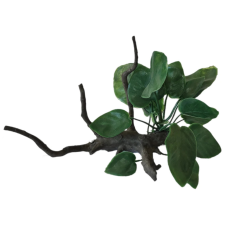 Viva'Z Akváriumi Műnövény 14cm 39123 akvárium dekoráció